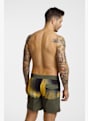 Quiksilver Everyday 16" costume da bagno uomo Verde 50010 2