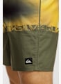Quiksilver Everyday 16" Herren Badeshort Grün 50010 3