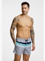 Quiksilver Everyday Printed Volley 15" Herren Badeshort Grau 49535 1