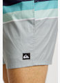 Quiksilver Everyday Printed Volley 15" costume da bagno uomo Grigio 49535 3