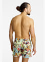 Quiksilver Everyday Printed Volley 15" costume da bagno uomo Beige 49531 2