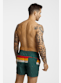 Quiksilver Everyday Printed Volley 15" short de bain hommes Vert 50013 2