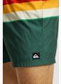 Quiksilver Everyday Printed Volley 15" short de bain hommes Vert 50013 3