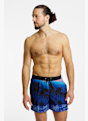 Quiksilver Everyday Printed Volley 15" Herren Badeshort Blau 49538 1