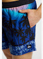 Quiksilver Everyday Printed Volley 15" Herren Badeshort Blau 49538 3