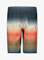 PROTEST PRTChopper short de bain garçons Bleu 49622 2