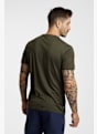 icebreaker Merino 150 Tech Lite Range Stripes t-shirt uomo Oliva 51693 3