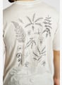 icebreaker Merino 150 Tech Lite Relaxed Fern Study t-shirt hommes Blanc 51695 5