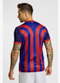 Macron FC Bâle Home Replica maillot de football hommes 25/26 Bleu 50387 2