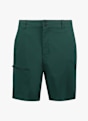 PEAK PERFORMANCE Iconiq Herren Wandershort Grün 50052 1