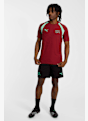 PUMA Schweiz Training Herren T-Shirt WM 2026 Rot 50898 3