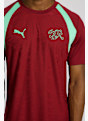 PUMA Schweiz Training Herren T-Shirt WM 2026 Rot 50898 4