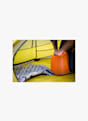 Sea to Summit Air Stream Pumpsack Orange 50913 2