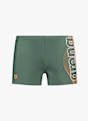 arena Basic Swim Herren Badehose Grün 51024 1
