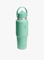 Hydro Flask Travel Flex Straw Cap 946 ml Trinkflasche Grün 51100 2