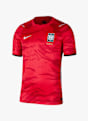 Nike Corea del Sud Home Replica maglia da calcio uomo Mondiali 2026 Rosso 51113 7