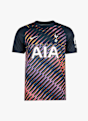Nike Tottenham Hotspur Away Replica maillot de football hommes 26/27 Bleu 51215 5