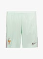 Nike France Away Replica short hommes CDM 2026 Vert 51265 1