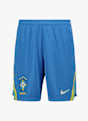 Nike Brasile Home Replica short uomo Mondiali 2026 Blu 51262 4