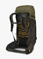 Osprey Kestrel™ LT 45 L zaino da trekking Verde 51313 3