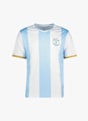 POWERZONE Argentinien Fan Herren T-Shirt Weiss 52250 1