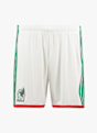 adidas Messico Home Replica short uomo Mondiali 2026 Bianco 51970 1