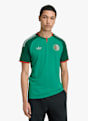 adidas Algerien Away Replica Herren Fussballtrikot WM 2026 Grün 51995 2