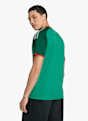 adidas Algérie Away Replica maillot de football hommes CDM 2026 Vert 51995 3