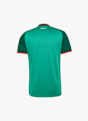 adidas Algérie Away Replica maillot de football hommes CDM 2026 Vert 51995 6