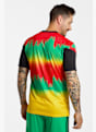 adidas Jamaika Prematch Herren T-Shirt WM 2026 Multicolor 52047 3