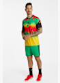 adidas Jamaika Prematch Herren T-Shirt WM 2026 Multicolor 52047 4