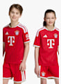 adidas Bayern München Home Replica Kinder Fussballtrikot 26/27 Rot 52118 5