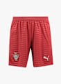 PUMA Portugal Home Replica Herren Short WM 2026 Grün 52970 5