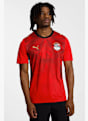 PUMA Ägypten Home Replica Herren Fussballtrikot WM 2026 Rot 52980 1