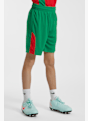 POWERZONE Portugal Fan kit de football enfants Vert 53079 4