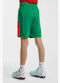 POWERZONE Portogallo Fan set calcio bambini Verde 53079 5