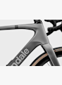Cannondale Synapse Carbon 2 28 Rennvelo Grau 53920 8