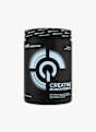 QNT Creatine Monohydrate 300 g integratori alimentari Bianco 54975 1