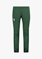 Daehlie Power 2.0 pantaloni da sci di fondo uomo Verde Scuro 55196 1