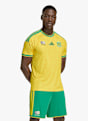 adidas Südafrika Home Replica Herren Fussballtrikot Wm 2026 Gelb 55431 1