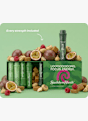 Sudden Rush 6-Pack Starter Pack fiale da bere Verde 58615 3
