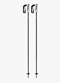ALBRIGHT Speed Skistock Schwarz 57137 1