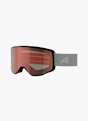 ALPINA Venet M V Skibrille Weiss 58602 1