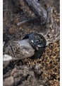 GARMIN fēnix® 9 Pro 51 mm montre de sport Noir 69222 7