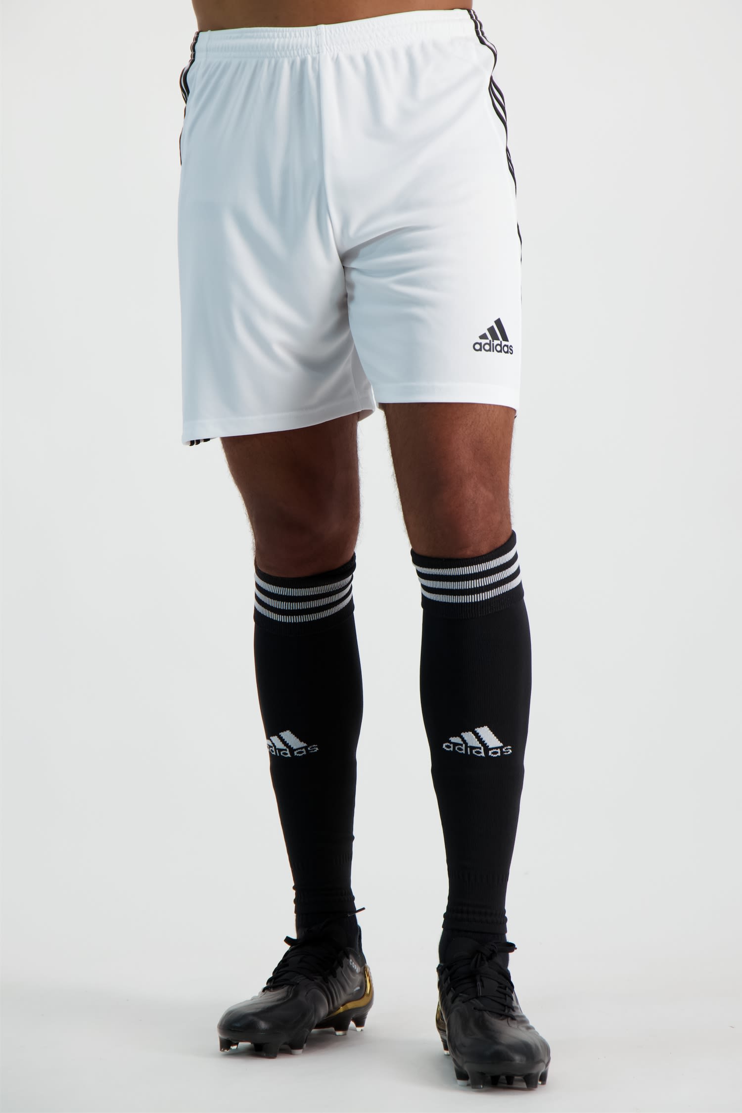 Squadra 21 Herren Short