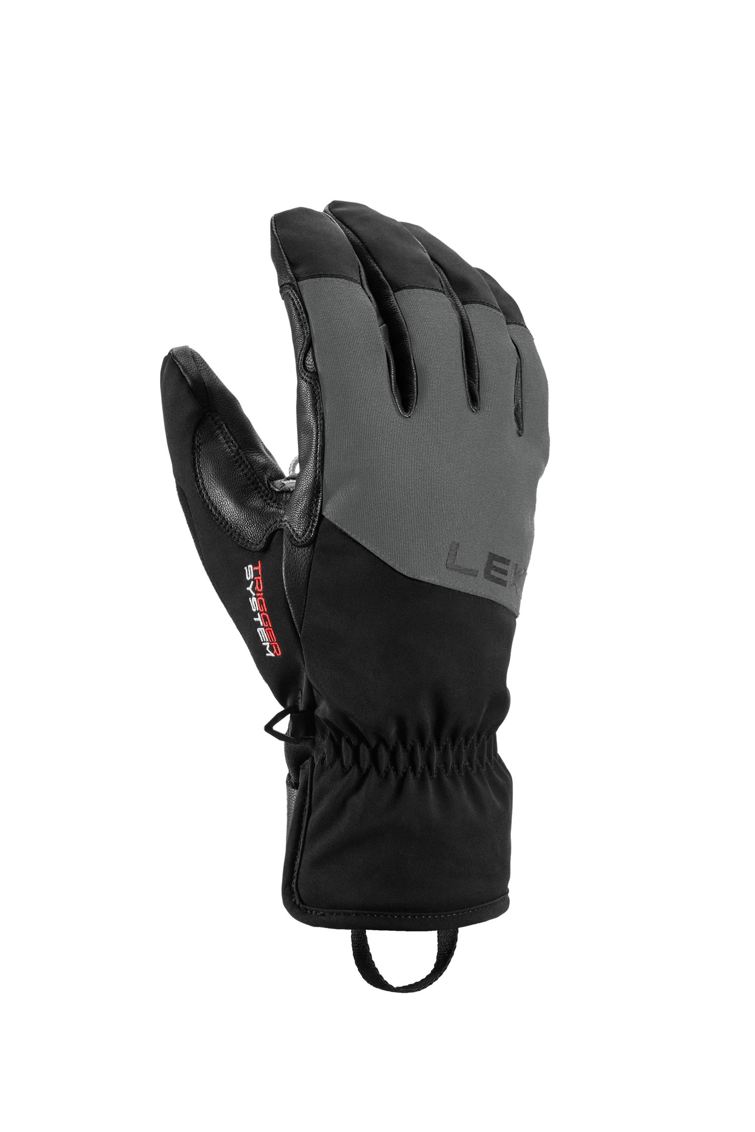 Pegas 3D Gore-Tex® Herren Skihandschuh