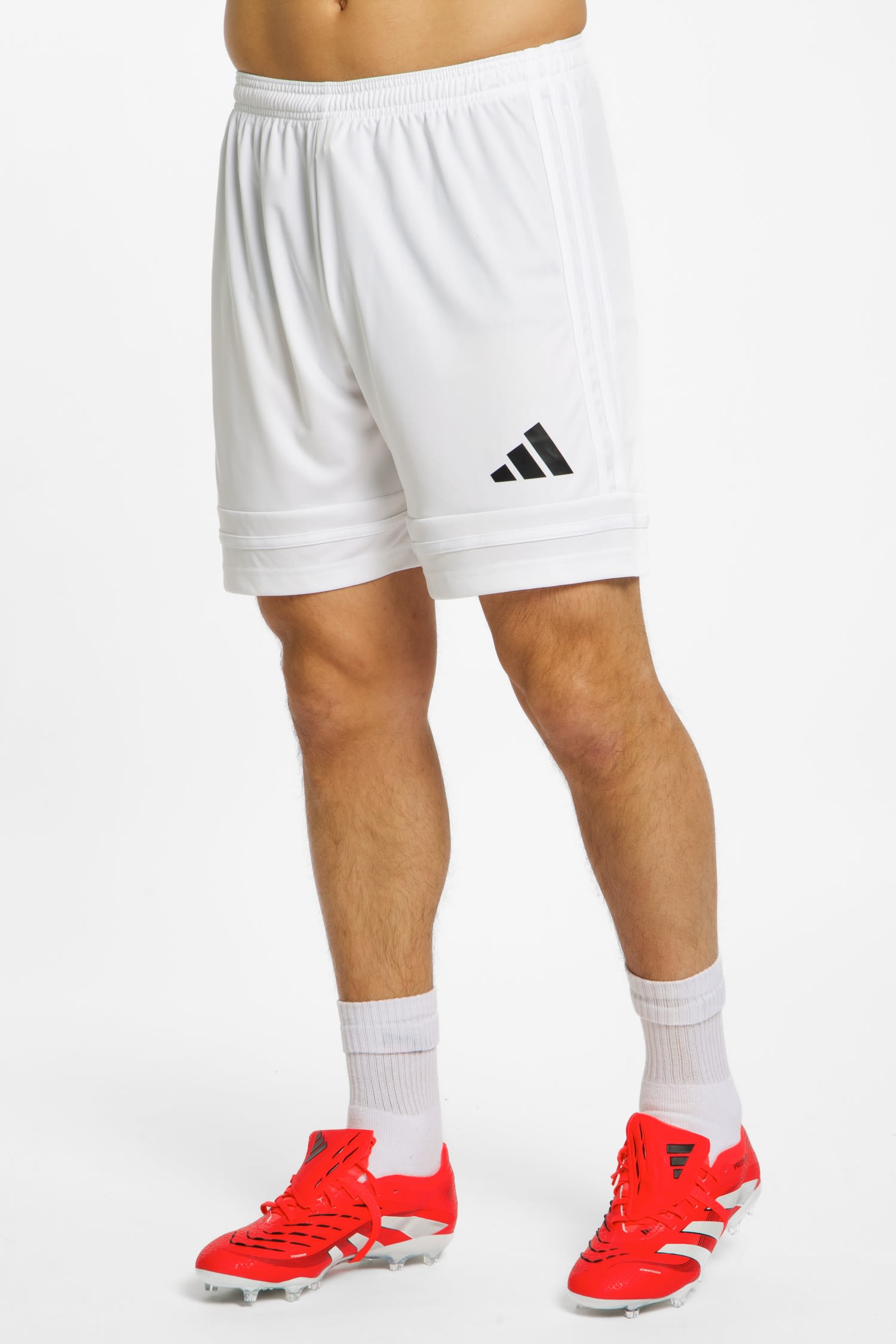 Squadra 25 Herren Short