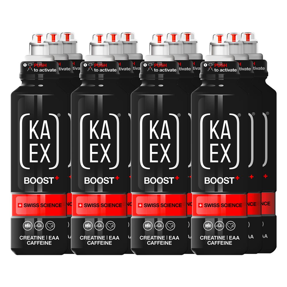 GO Boost 12 x 460 ml Sportgetränk
