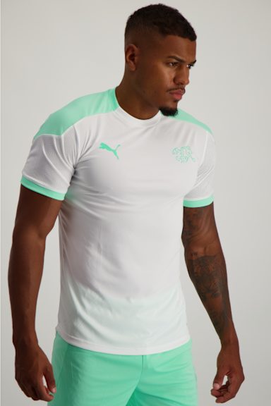 Puma SFV Training Herren T-Shirt