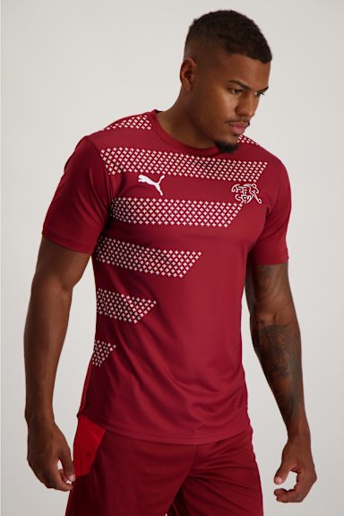 Puma SFV Stadium Training Herren T-Shirt